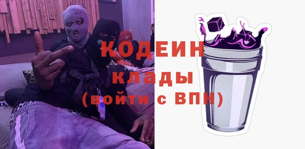 индика Балахна