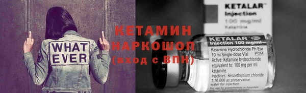 индика Белокуриха