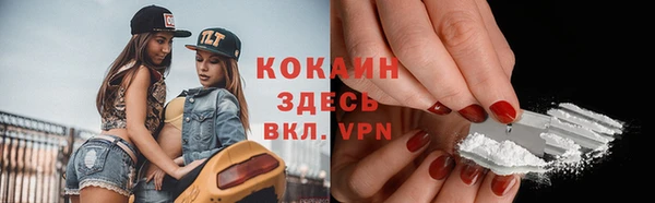индика Балахна