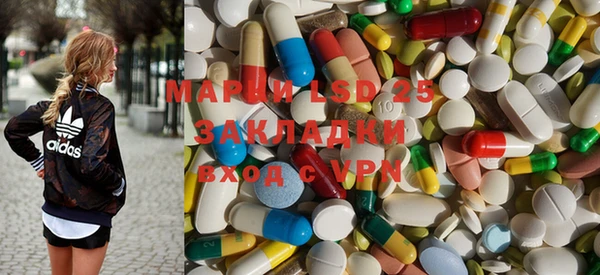 индика Балахна