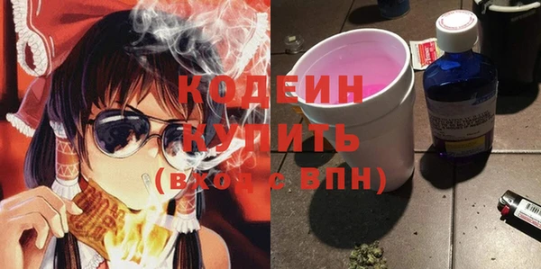 индика Балахна