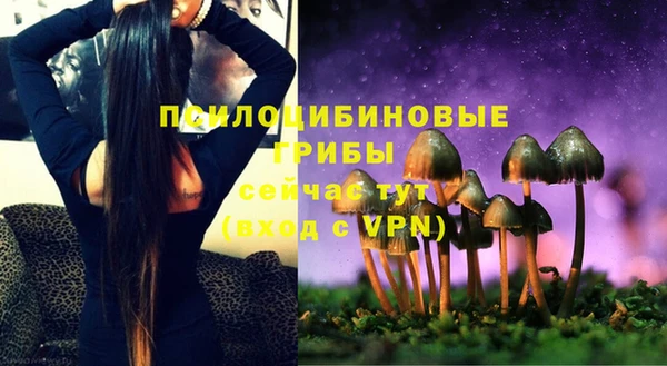 индика Балахна
