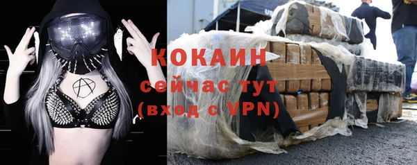 индика Балахна