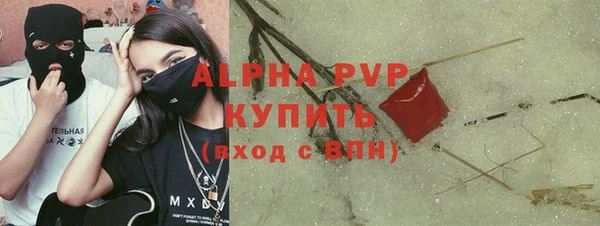 индика Балахна