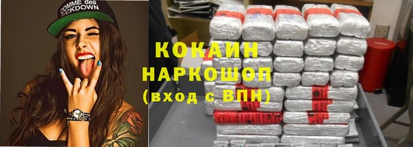 индика Балахна